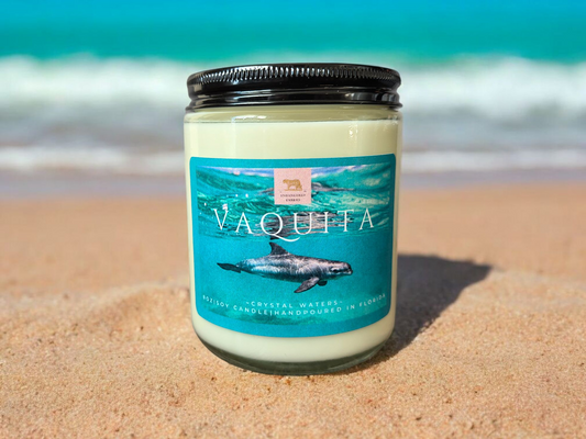 Vaquita